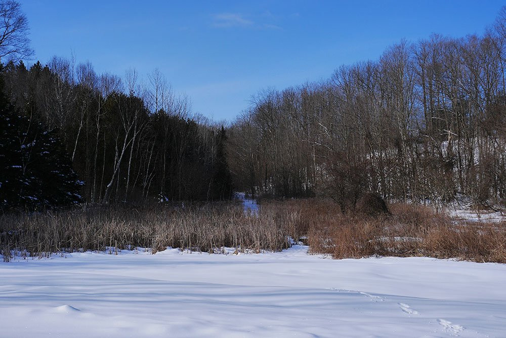 Gould Lake Conservation Area景点图片