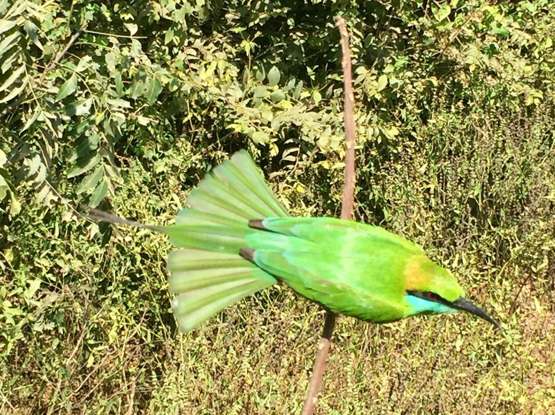 Sihilro Regency主图