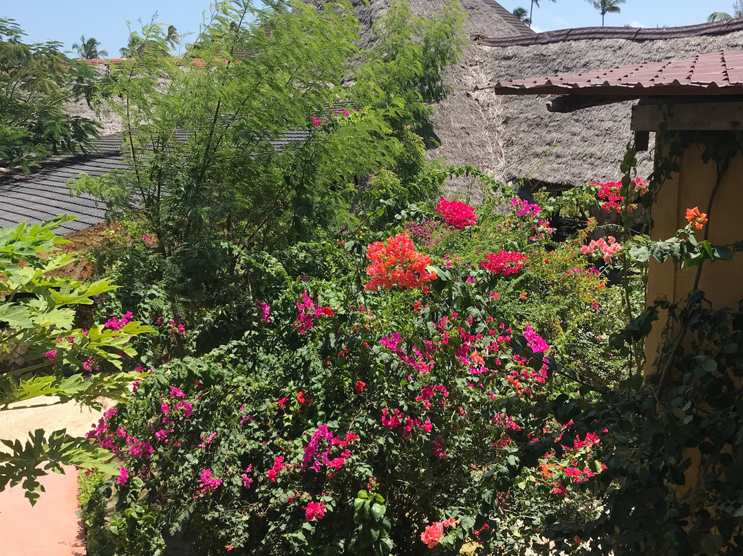 帕鲁波利海滩度假酒店主图