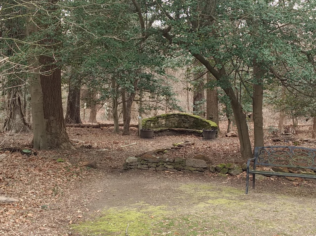 Downs Park-Pasadena必去景点