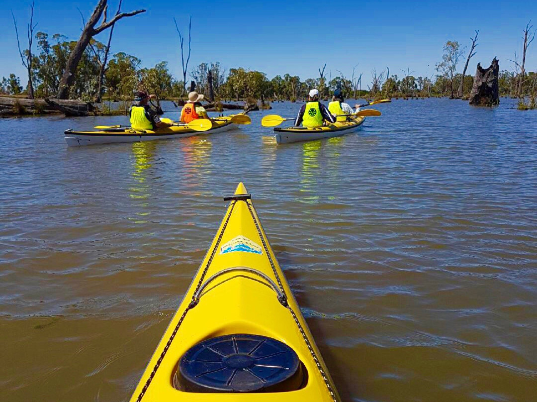 Murray River Adventures-Cohuna必去景点