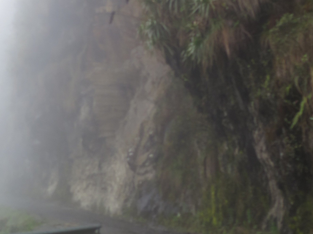 Ruta de la Muerte-Coroico必去景点