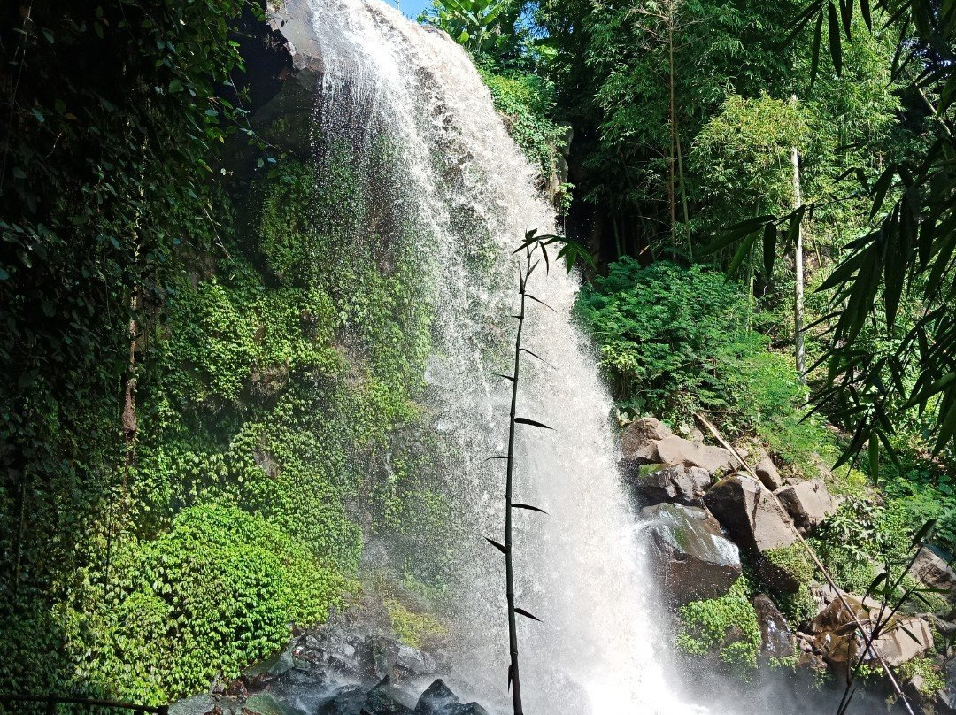 Coban Lanang Waterfall景点图片