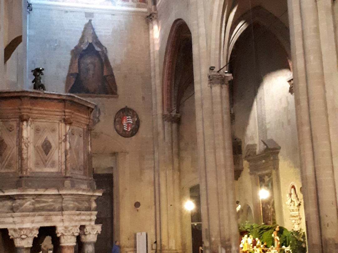 Arezzo Cathedral景点图片