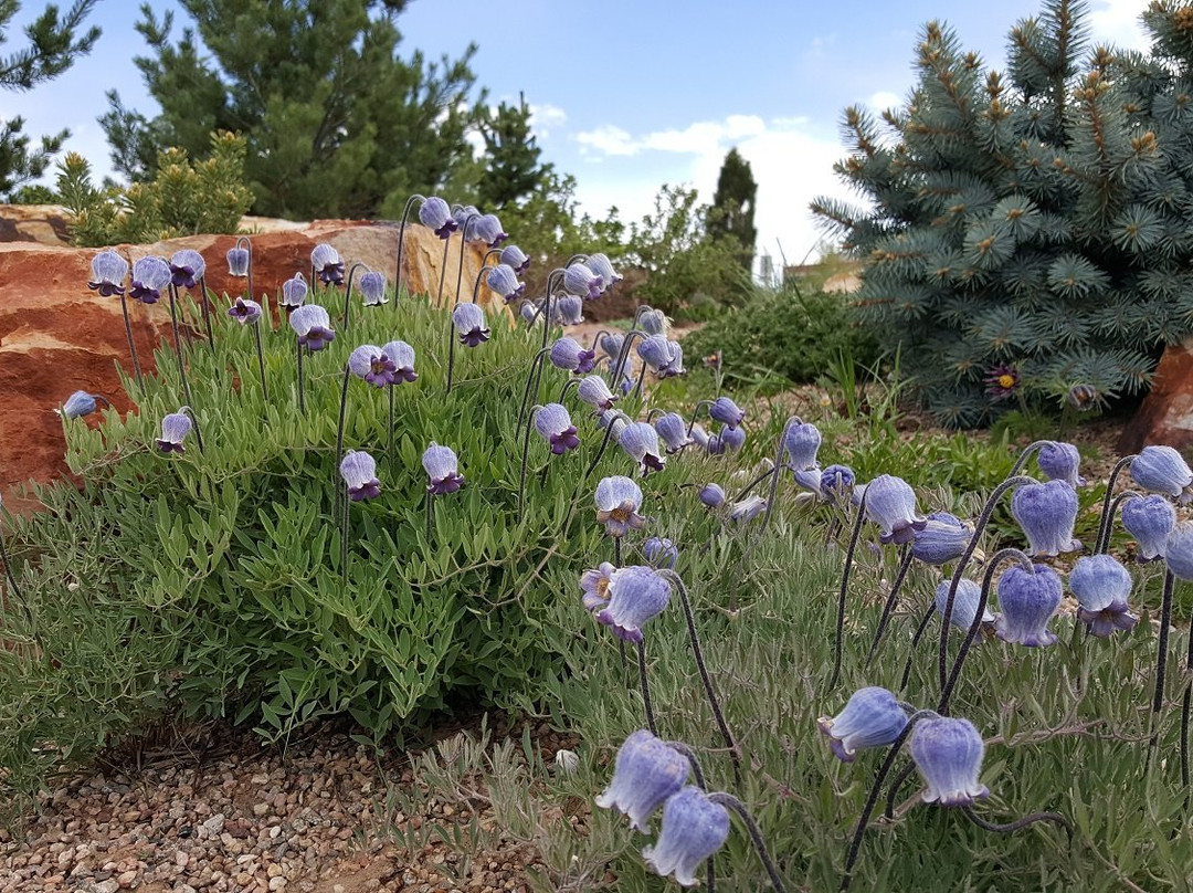 Gardens on Spring Creek-科林斯堡必去景点