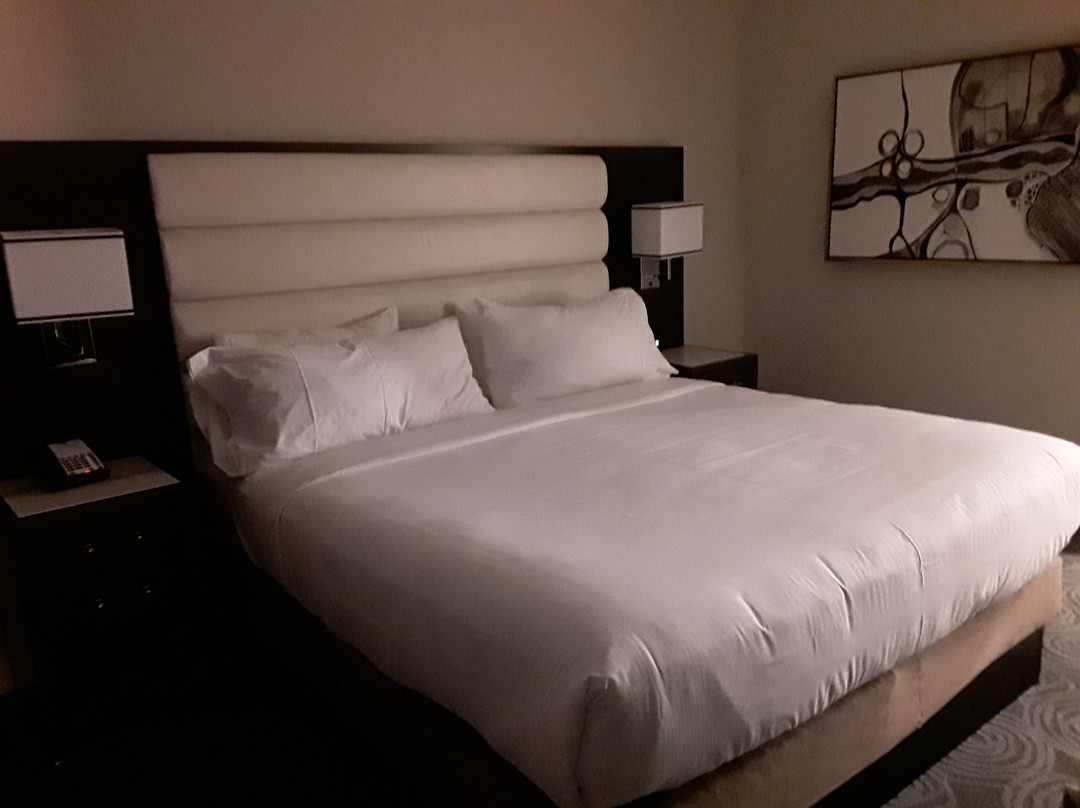 Embassy Suites By Hilton Houston West - Katy主图