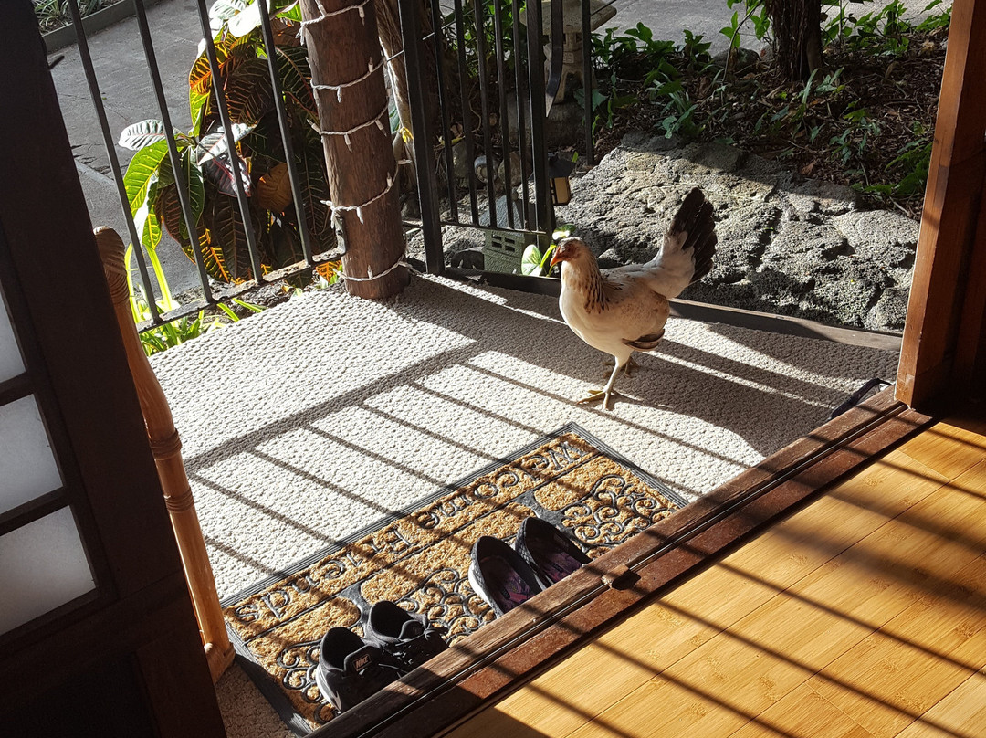 黑尔玛鲁希亚乡村酒店主图