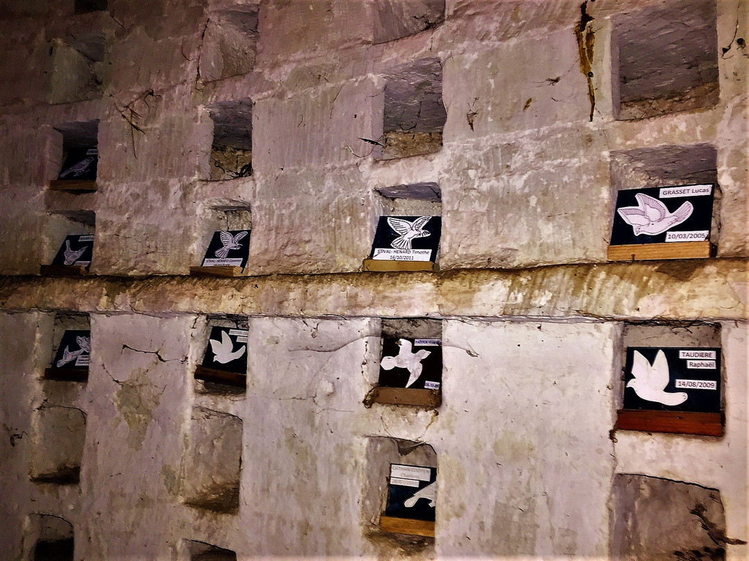 Le Pigeonnier de Vouzailles景点图片