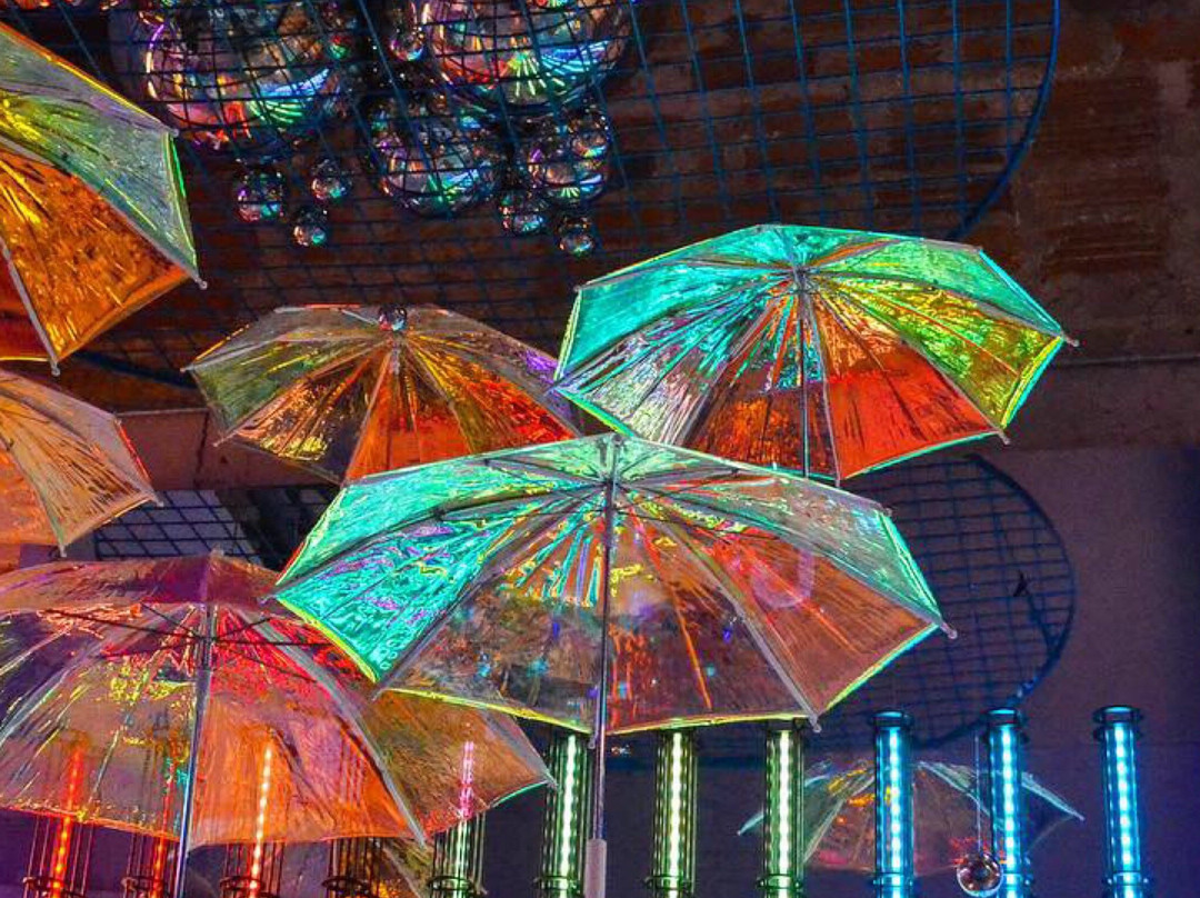 WNDR Museum Chicago-芝加哥必去景点