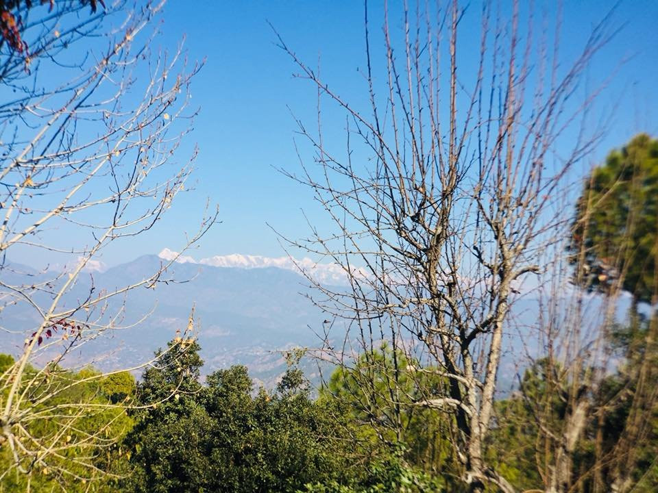 Seed At Queens Meadows, Ranikhet主图