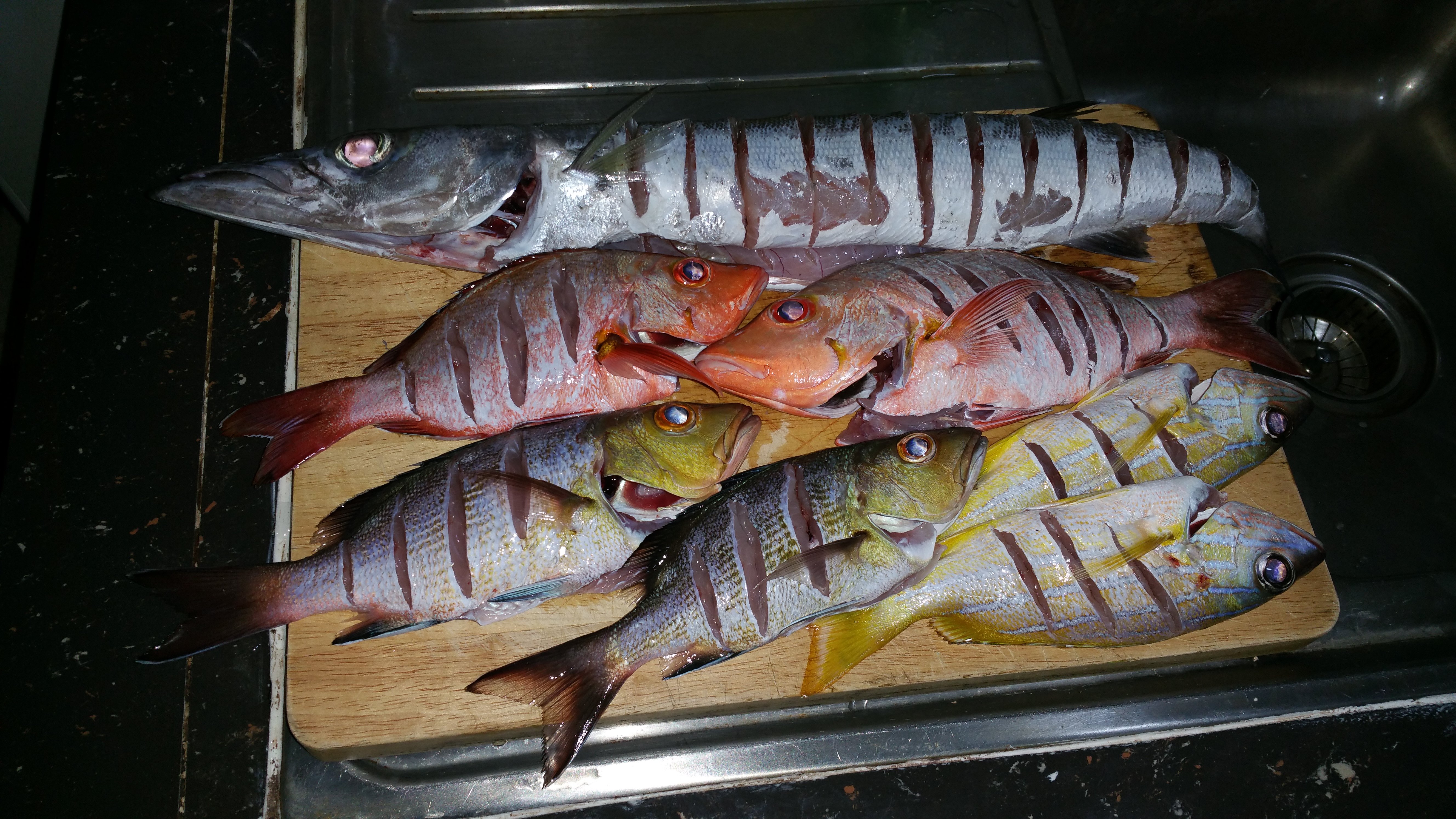Crystal Dhiffushi-餐饮