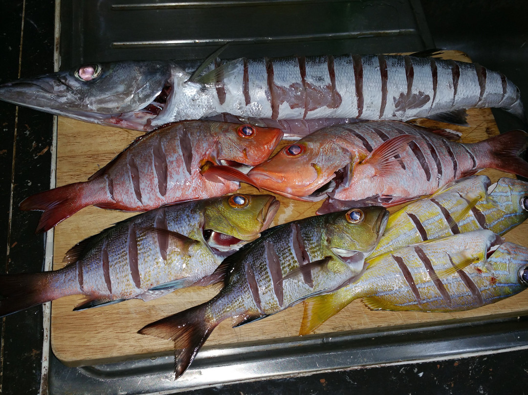 Crystal Dhiffushi主图