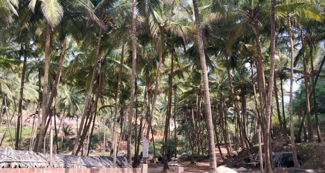 Kondura Beach景点图片