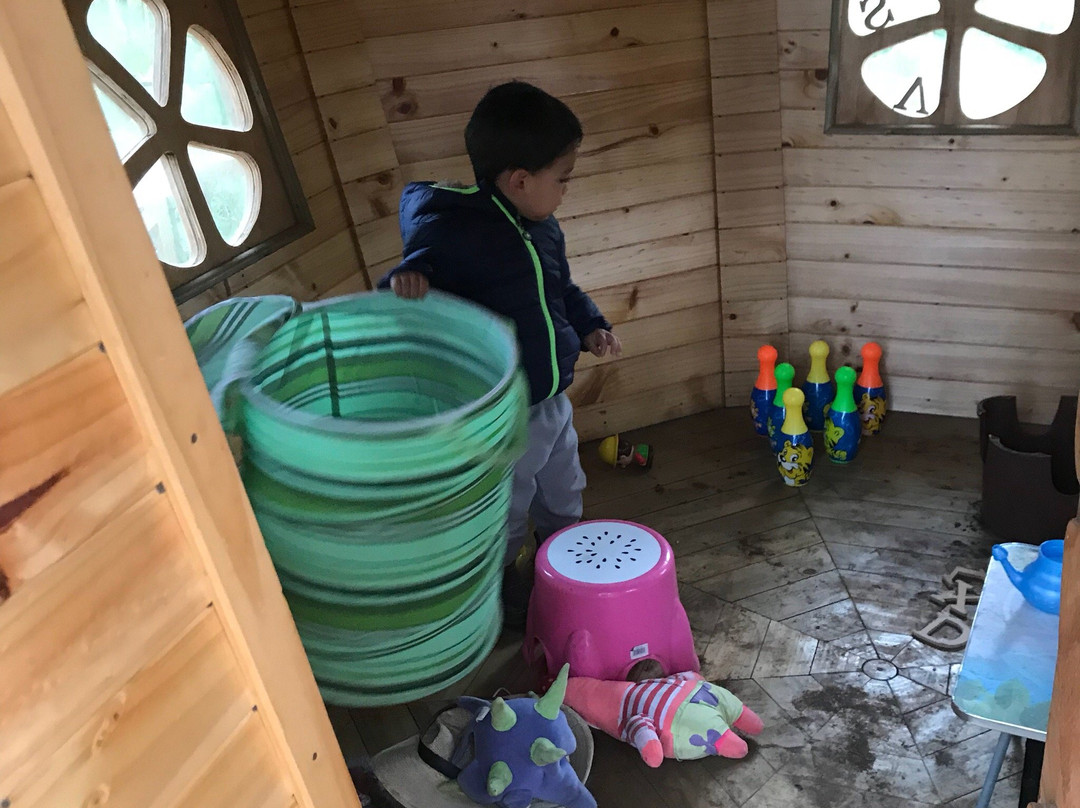 Pelluhue Outdoor-Pelluhue必去景点