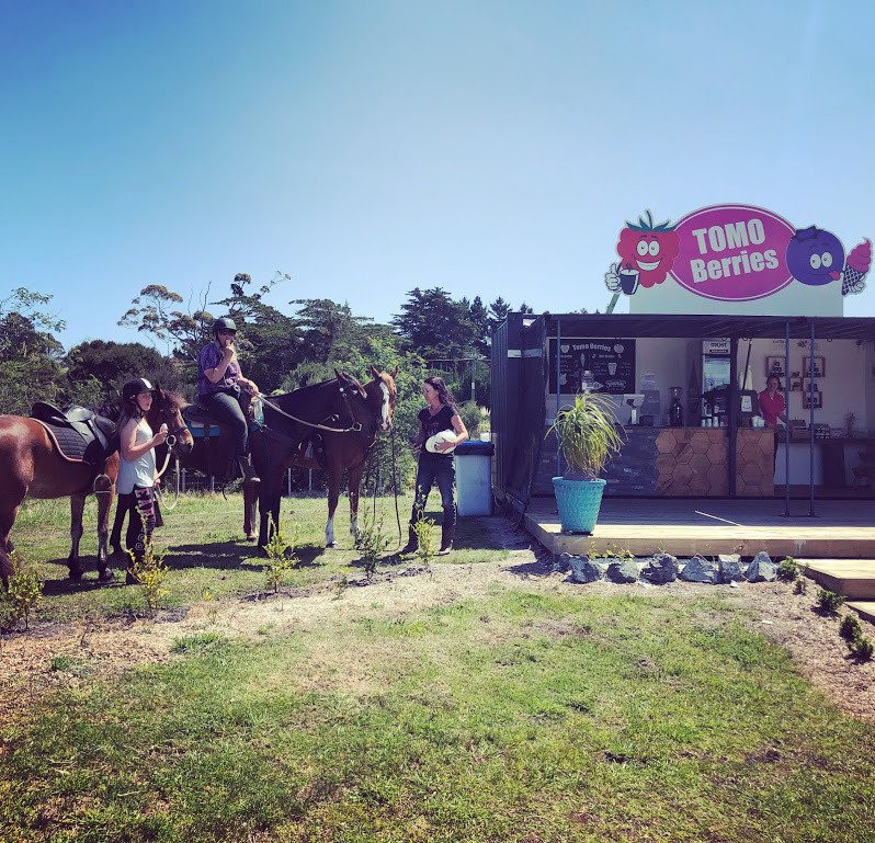 Tomo Berries-Pukenui必去景点