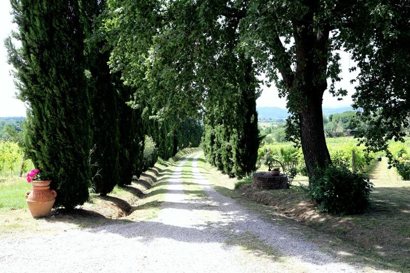 Agriturismo Podere La Villetta主图