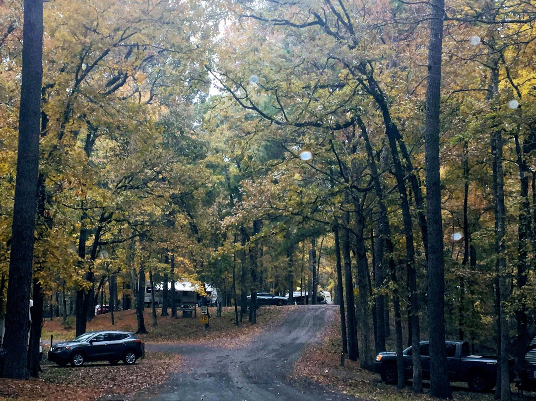 Kincaid Recreation Area-Boyce必去景点