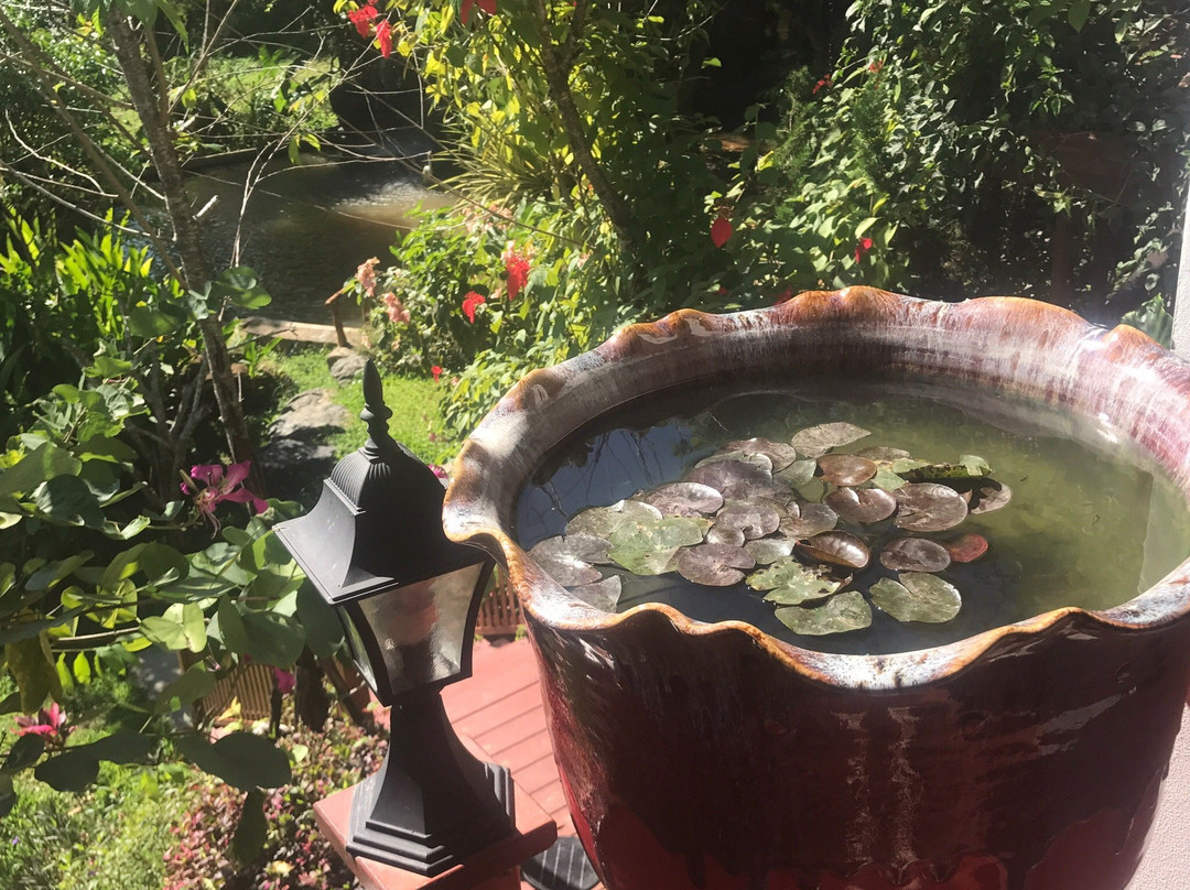 Swankiri Exclusive Farm Resort主图