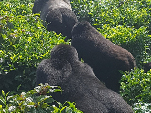 Outback Adventure Safaris-恩德培必去景点