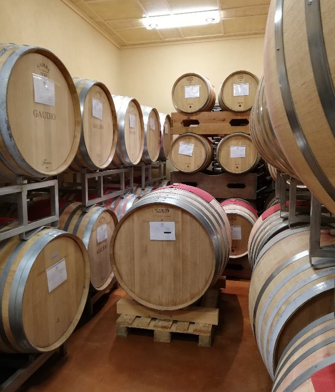 Gaudio Bricco Mondalino-Vignale Monferrato必去景点