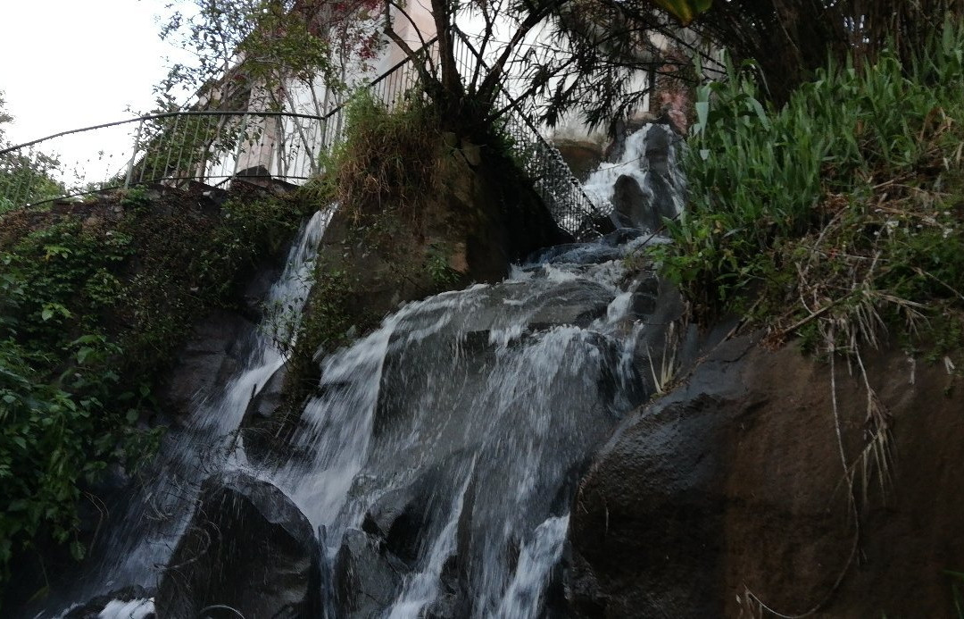 Hotel Los Cedros主图