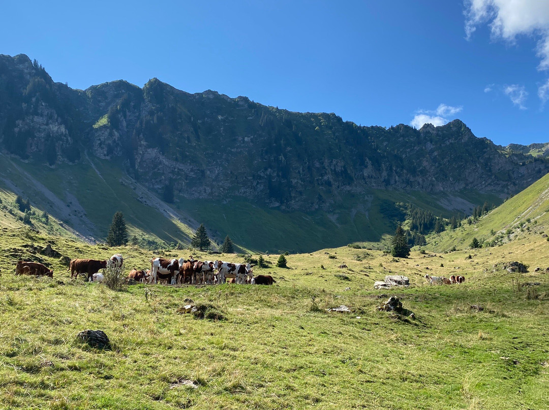 Taverne Du Roc D'enfer