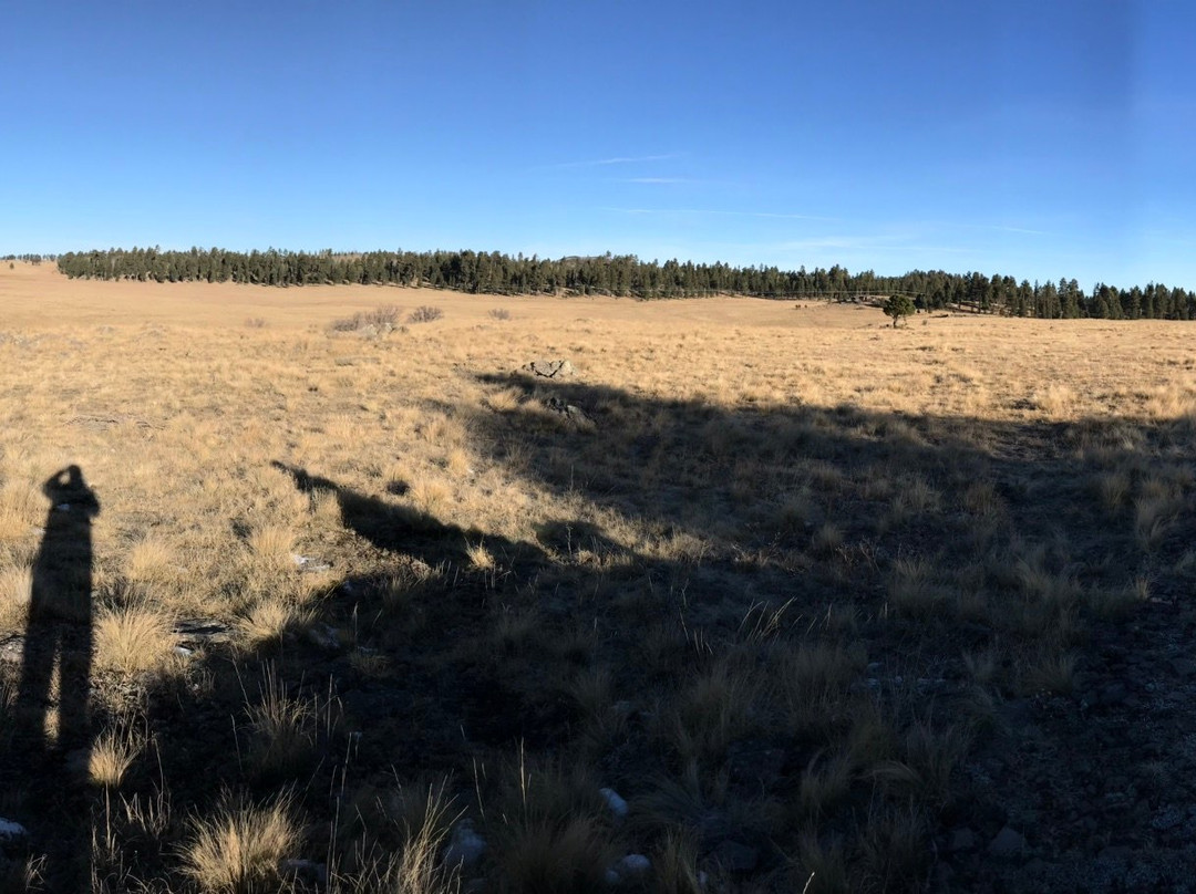 Apache-Sitgreaves National Forest-Springerville必去景点