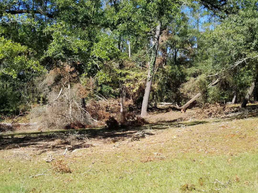 Coheelee Creek Covererd Bridge-Blakely必去景点
