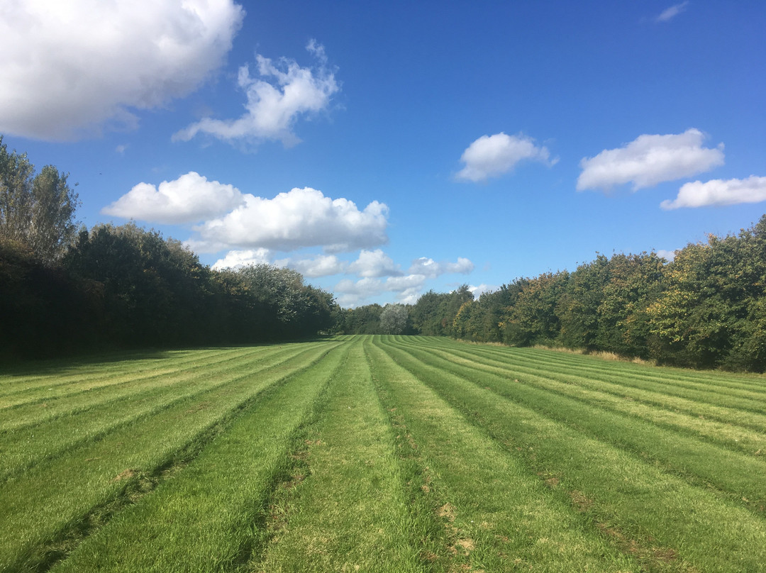 Manor Farm Woodland Walks景点图片