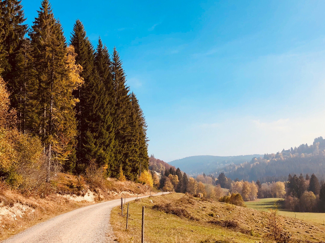 Premiumwanderweg-菲尔德山必去景点