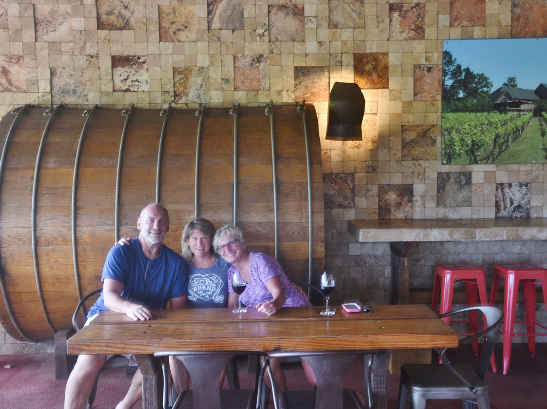 Kiepersol Vineyards, Winery & Distillery景点图片