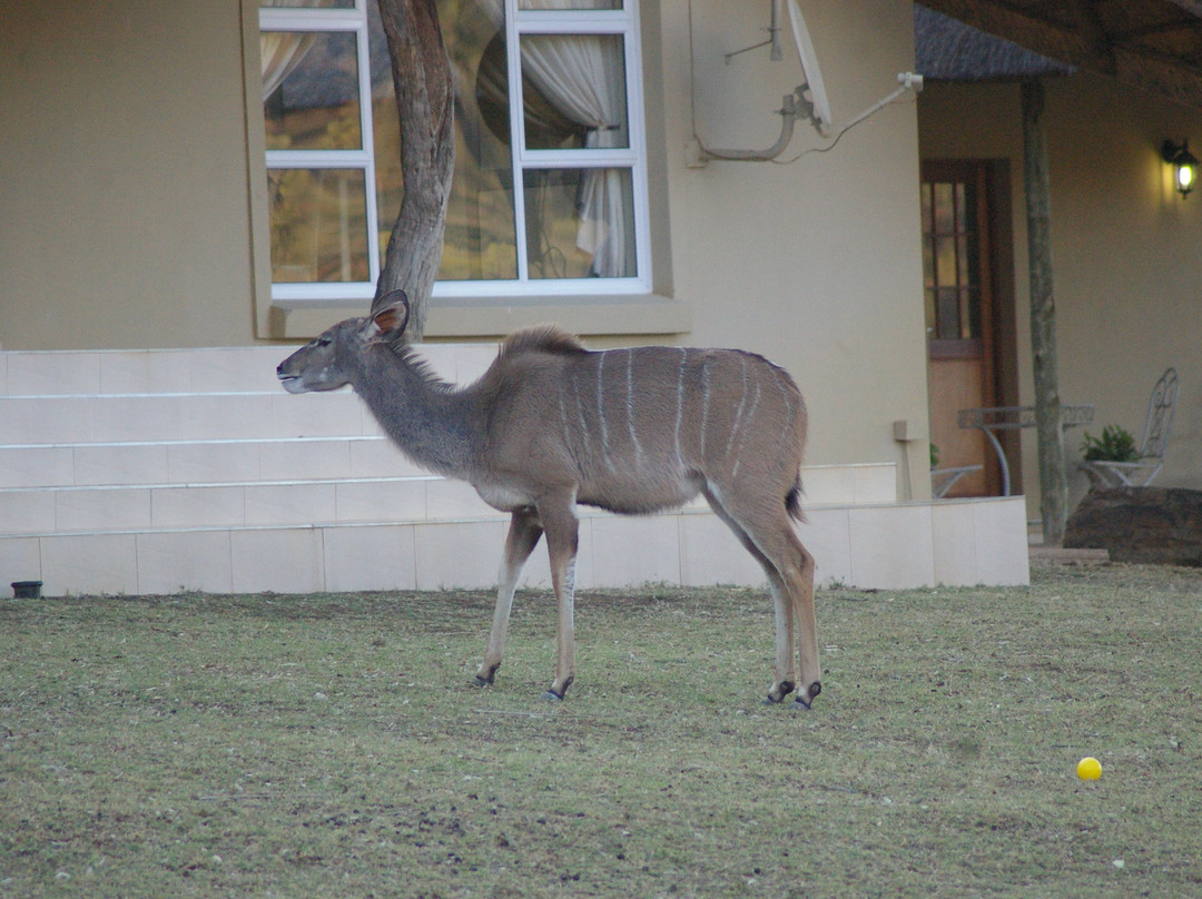 La Barune Game Lodge主图