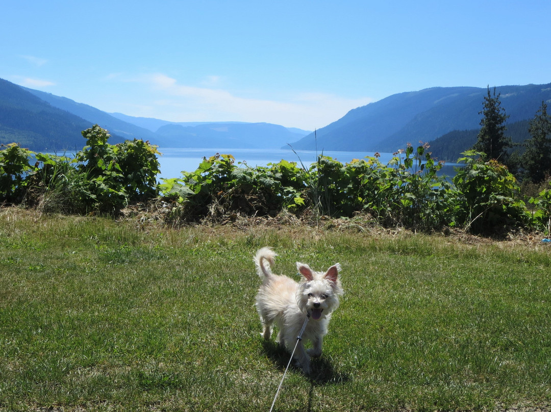Mabel Lake Golf Course-Kingfisher必去景点