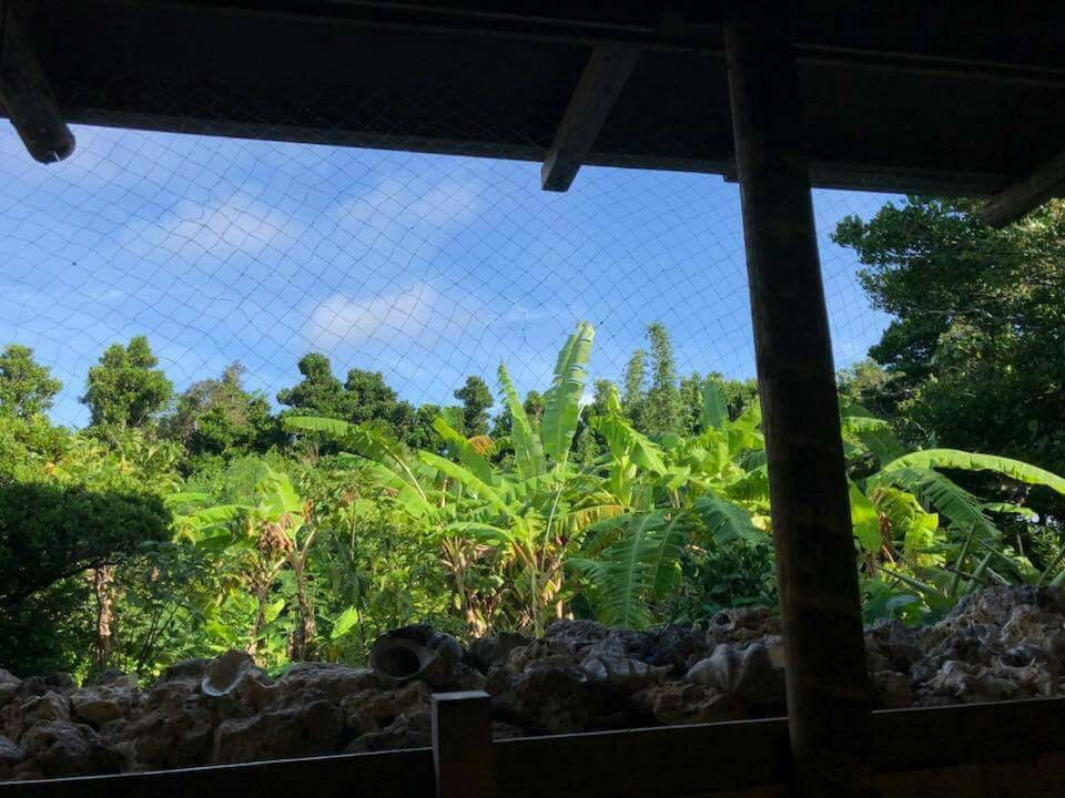 MInshuku Agatamura主图