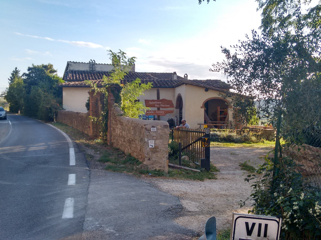 San Gersole - Torre Rosse旅游景点-Apicoltura San Martino