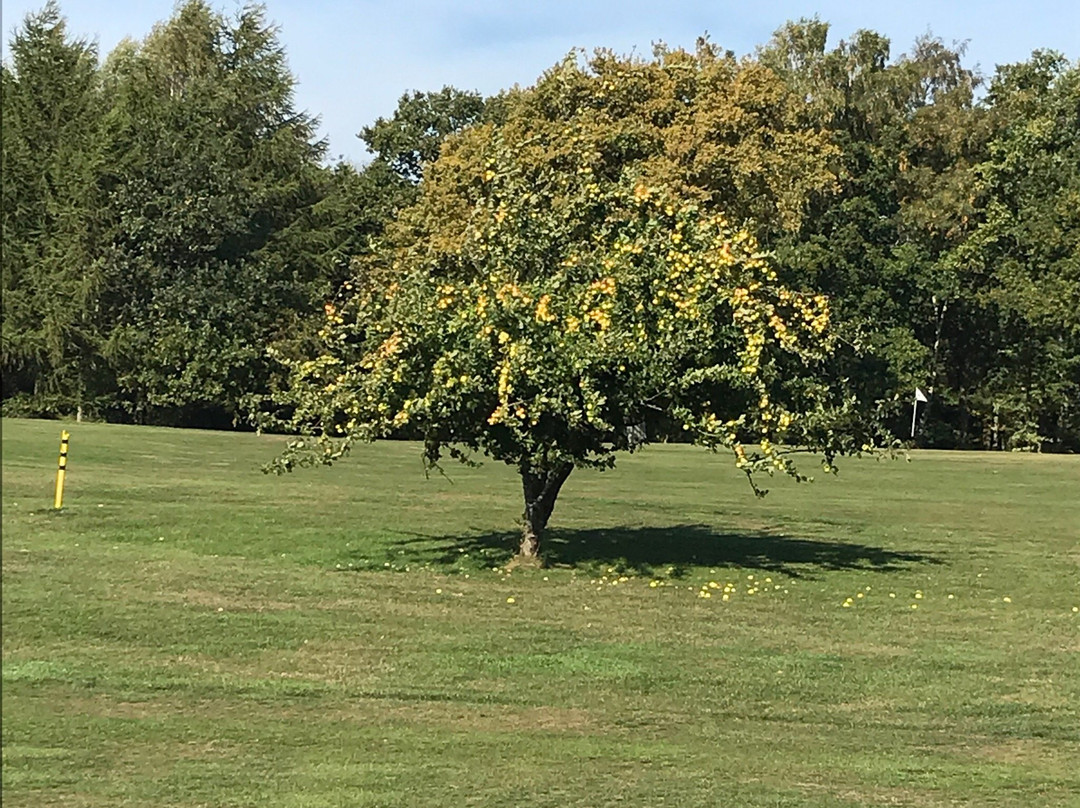 Nordbornholms Golf Klub Rø-Gudhjem必去景点
