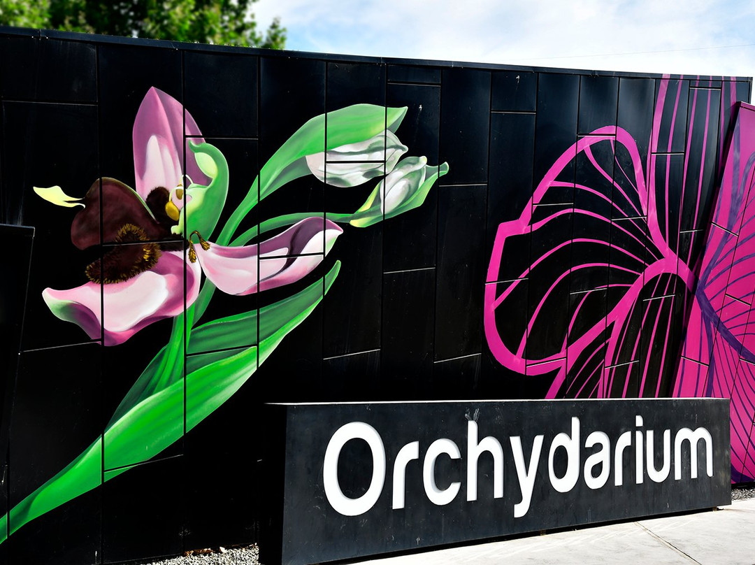 Centro de Interpretacion de la Orquidea Orchydarium景点图片