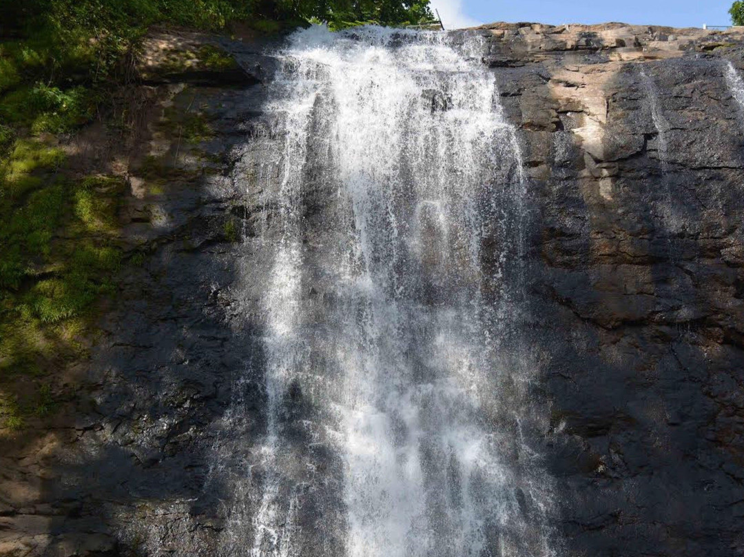 Vihigaon Waterfall景点图片