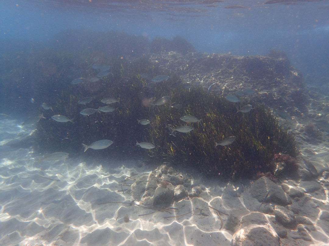 Yiannis The Beekeeper Apartments主图