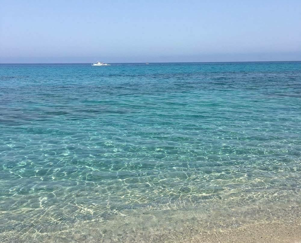 Hotel Residence Rosy主图