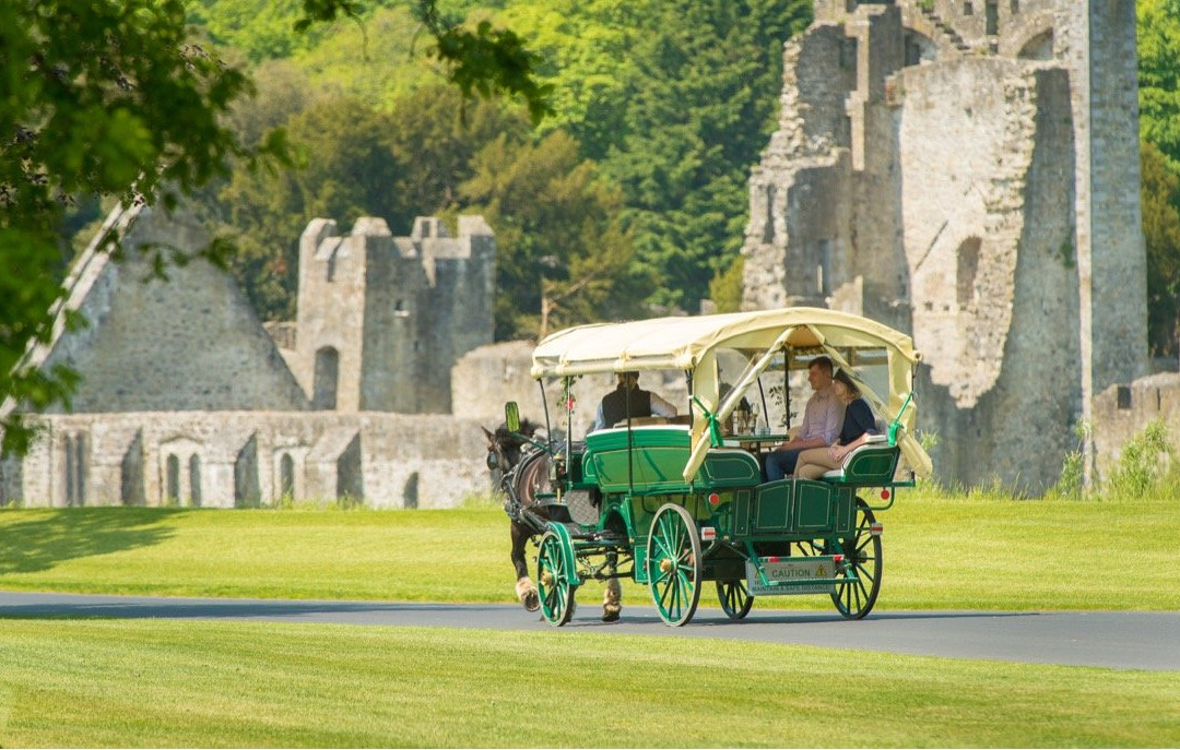 Limerick Carriage Tours-Adare必去景点