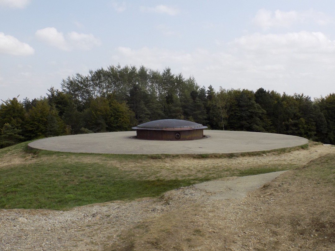 Maginot Line Tours - Tucker Tours景点图片