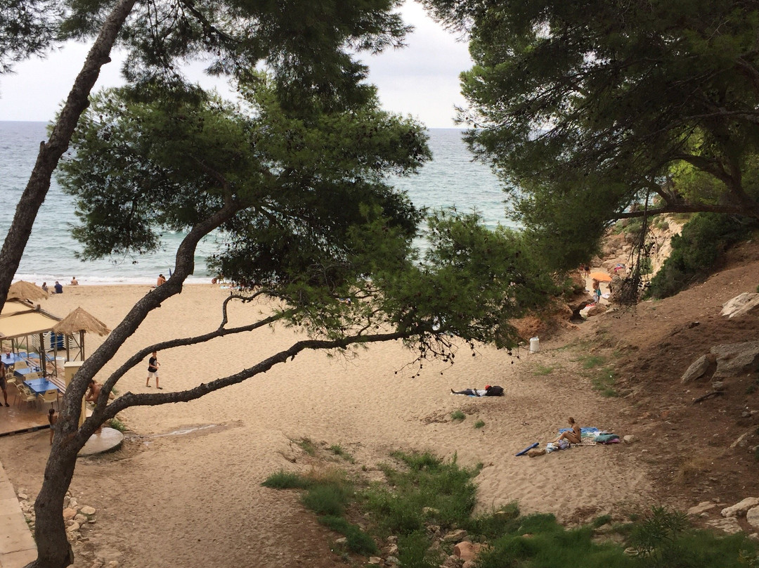Cala de los Vieneses景点图片