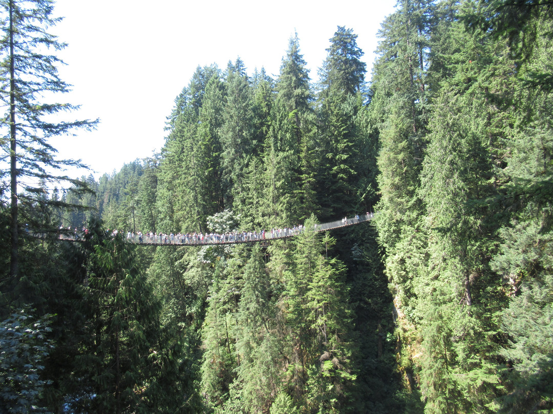 Crystal's View Vancouver Bed and Breakfast主图