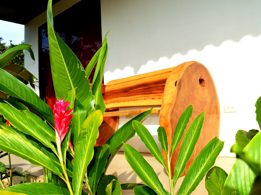 Canto del Mar Guest House and Botanical Garden主图