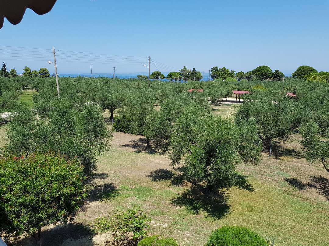 Dimaras Apartments主图