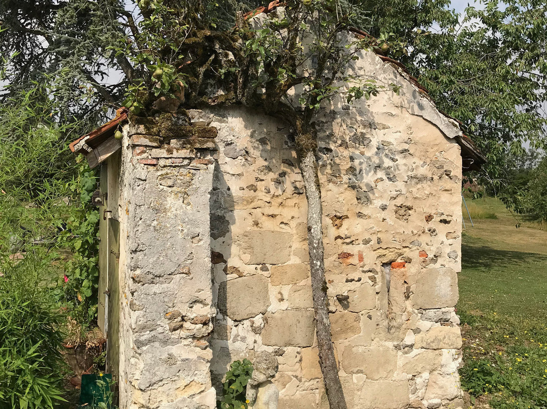 Les Jardins de la Tuilerie主图