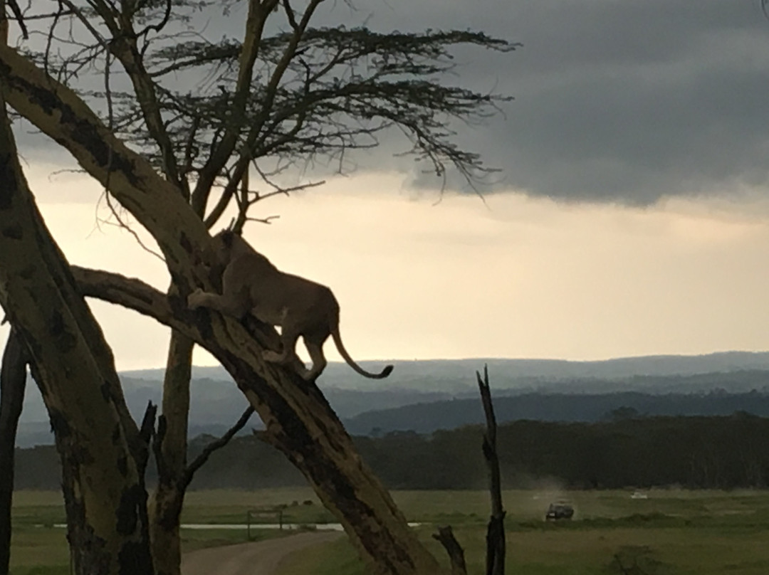 肯尼亚自然世界之旅景点图片