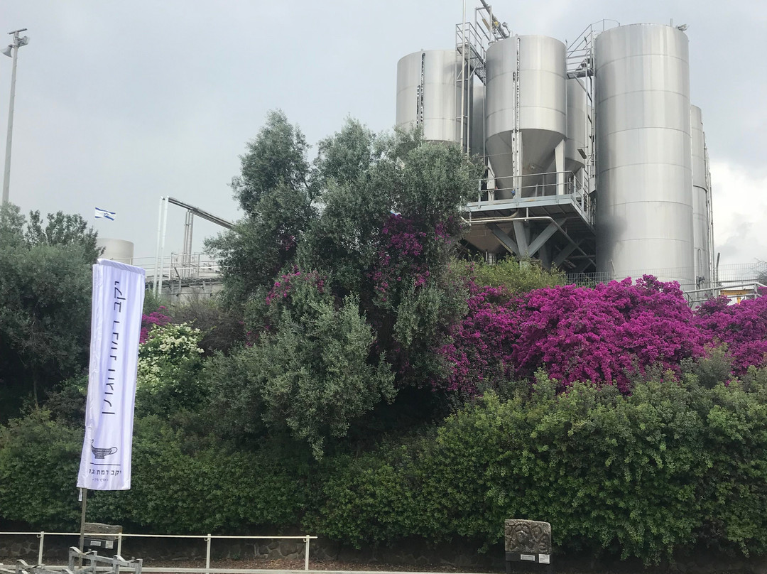 Golan Heights Winery-Katzrin必去景点