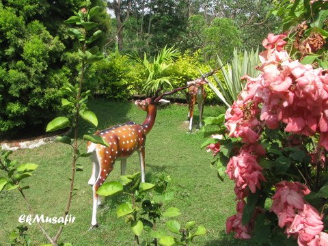 Chitrakoot Hill Resort-浴室